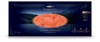 001SALMONE