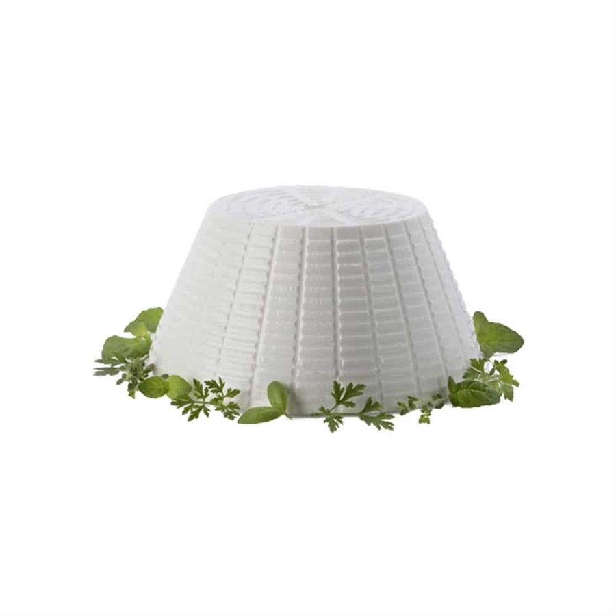 000RICOTTA