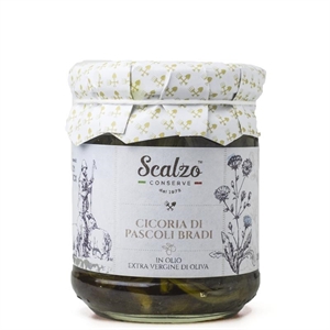 CICORIA DI PASCOLI BRADI ML.212 SCALZO