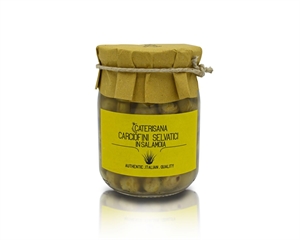 CARCIOFINI SELVATICI AL NATURALE GR.540