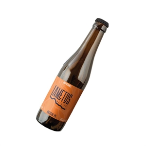 BIRRA AMERICAN IPA CL.33 LAMETUS