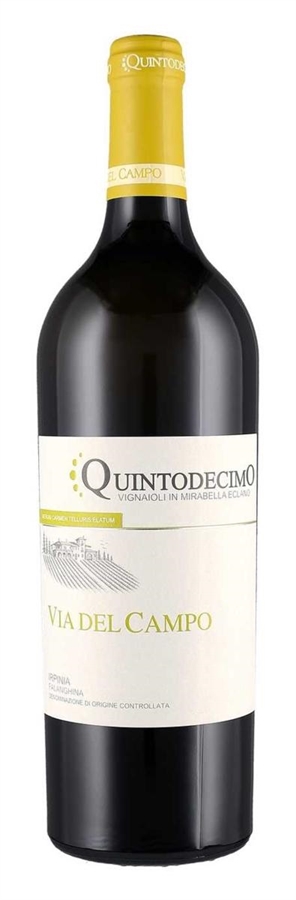 CAMPOQUINTO