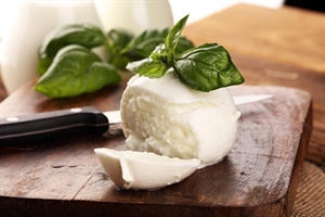 BURRATA PRELIBATA PZ 4XGR.50 GR.200 CIOFFI