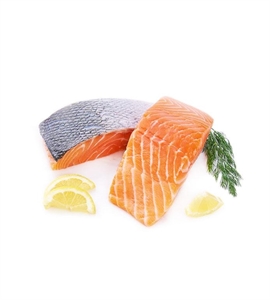 SALMONE CON PELLE CONGELATO IN PORZIONI SINGOLE HOFSETH