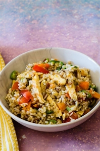 TAGLIATA DI POLLO SURGELATO CON ORZO E VERDURE GR.300 SURGITAL