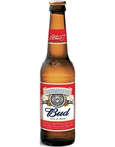 BIRRA BUD CL.33X24