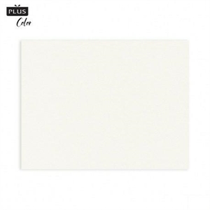 TOVAGLIETTE BIANCHE 30X40 PZ.250 NICOLETTI