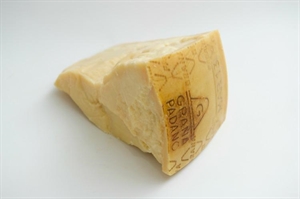 GRANA PADANO DOP SPICCHIO