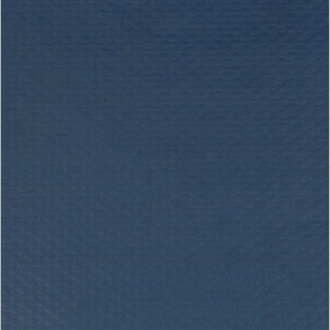 TOVAGLIETTA BLU 30X40X250PZ