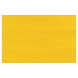 TOVAGLIETTA GIALLO 30X40X250PZ