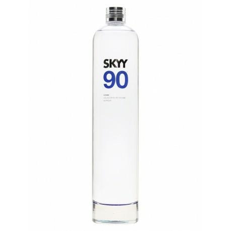 418661SKYY
